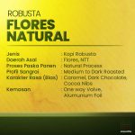 ROBUSTA FLORES NATURAL- DETAIL