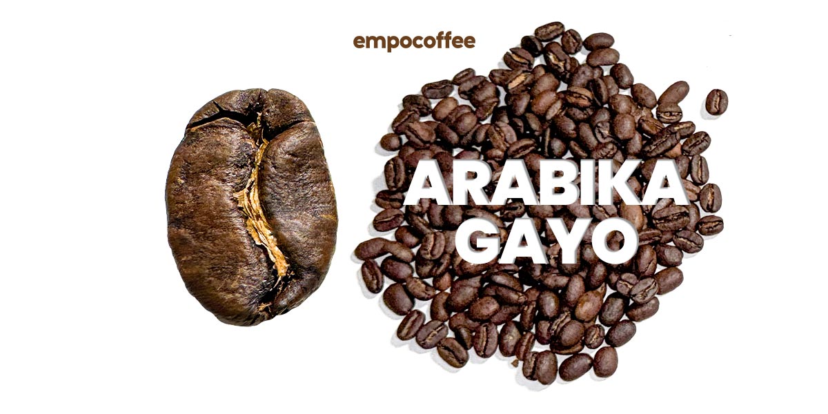 Kopi Arabika GAYO