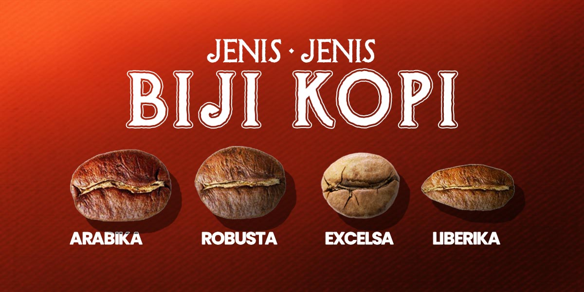 Jenis jenis biji kopi