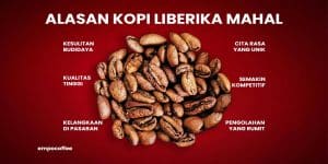 kopi liberika