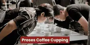 Cupping kopi