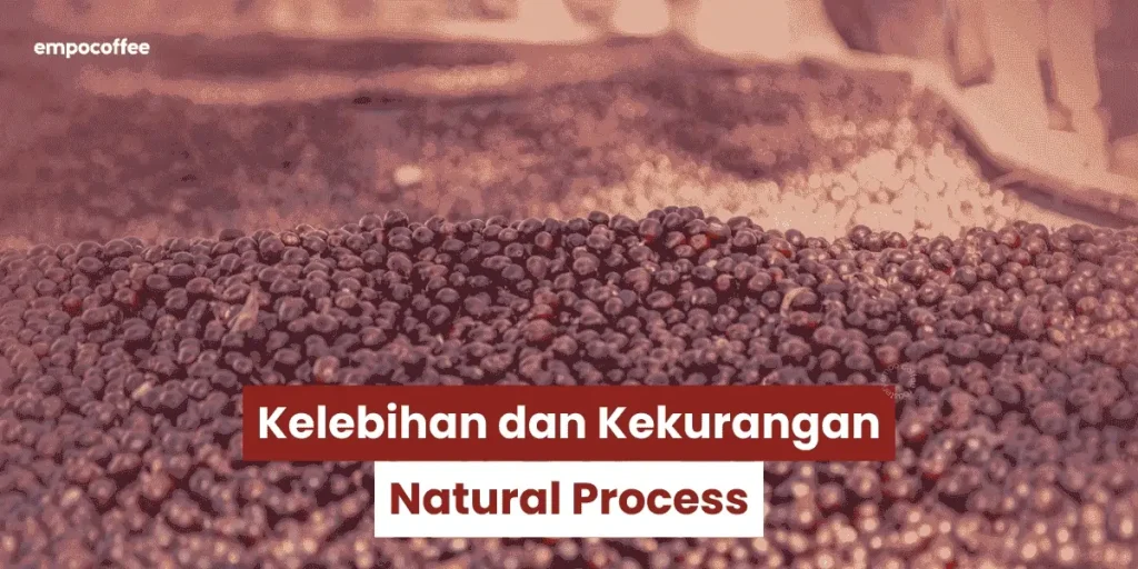 Kelebihan & Kekurangan Natural Process