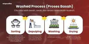 Washed Process