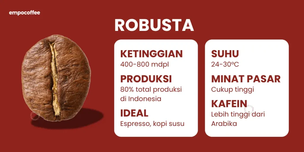 Keunggulan Kopi Robusta