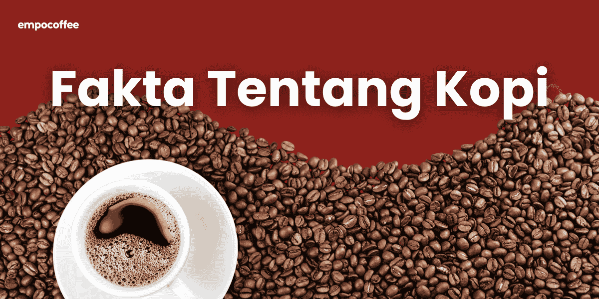 fakta kopi