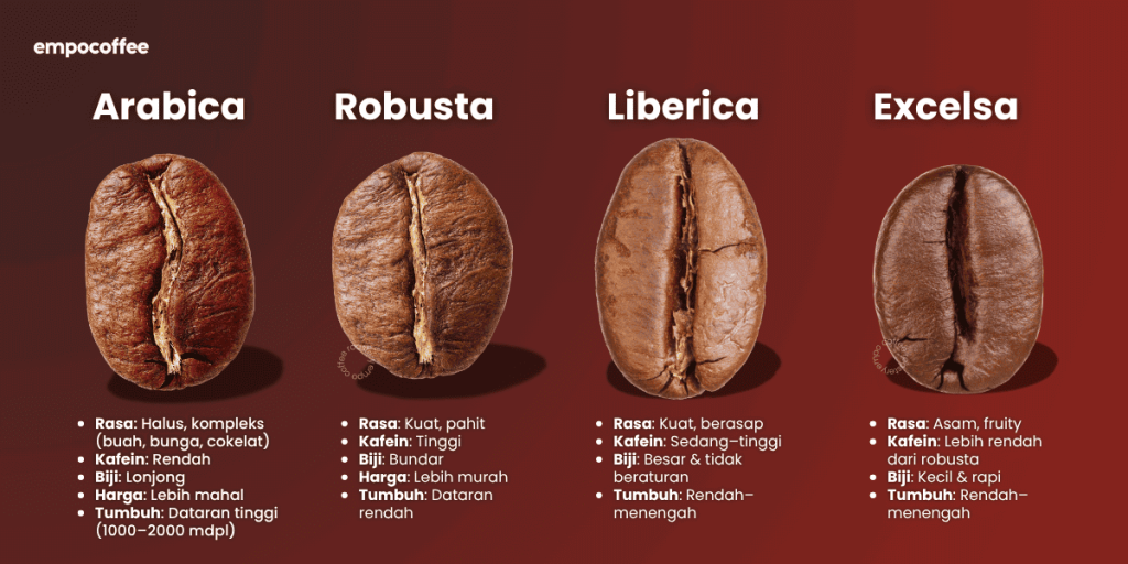 kopi arabika robusta liberika dan excelsa