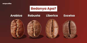perbedaan kopi arabika robusta liberika dan excelsa