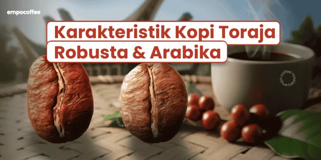 karakteristik kopi toraja robusta dan arabika
