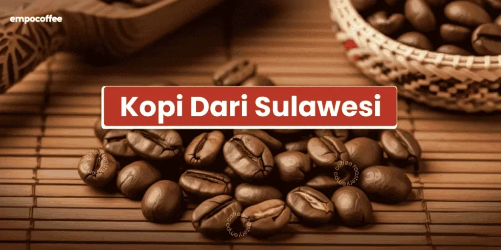 kopi dari sulawesi