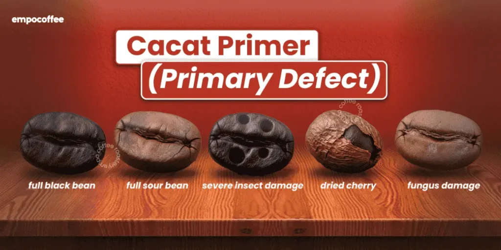 Cacat Primer (Primary Defect)